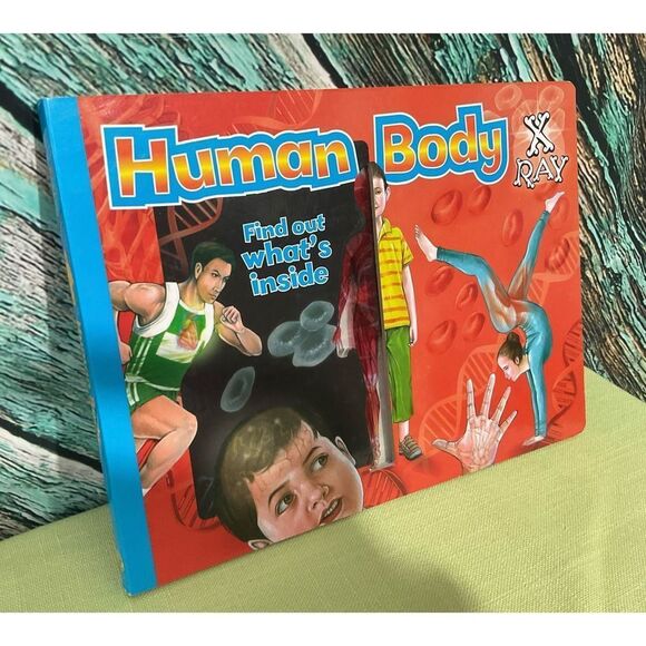 2009 Hardback Human Body XRay Find Out What’s Inside 📚📚 - Picture 1 of 11